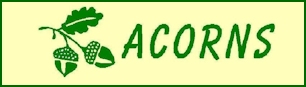 acorns logo