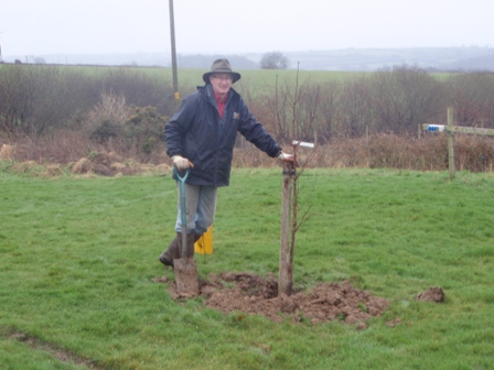 andy planting trees 2012